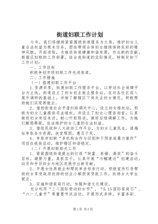 街道妇联工作计划