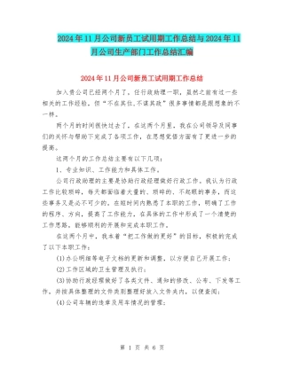 2024年11月公司新员工试用期工作总结与2024年11月公司生产部门工作总结汇编
