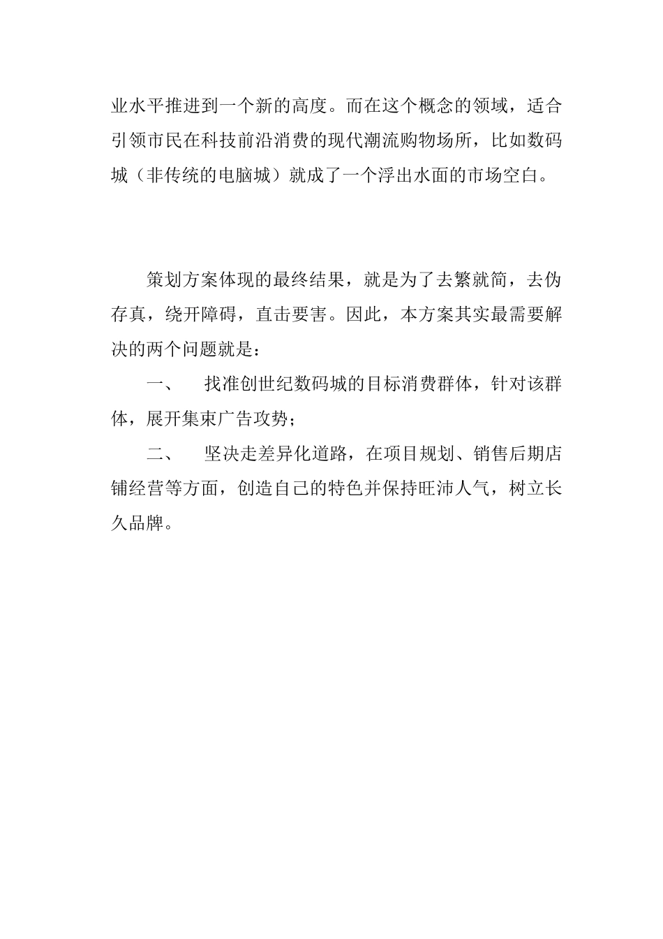 创世纪数码全程营销策划方案_第3页