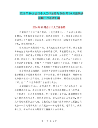 2024年10月会计个人工作总结与2024年10月出纳试用期工作总结汇编