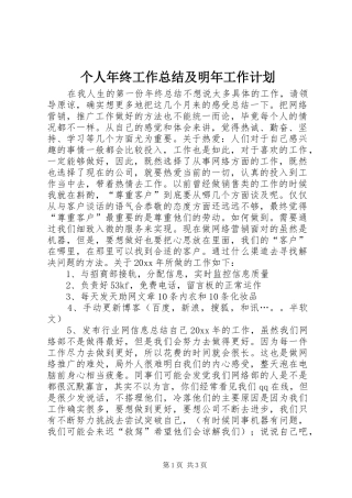 个人年终工作总结及明年工作计划