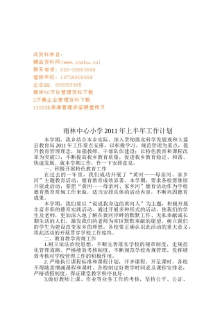某某中心小学上半年工作计划