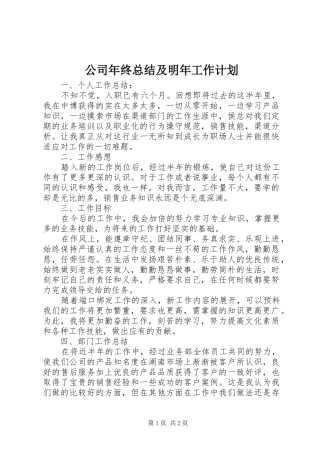 公司年终总结及明年工作计划