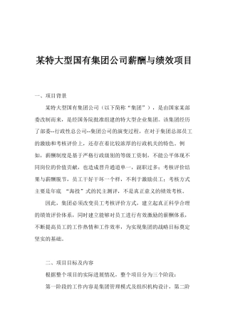 某特大型国有集团公司薪酬与绩效项目(1)