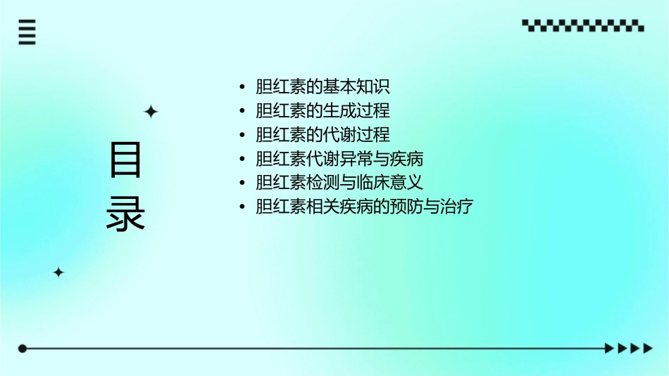 胆红素的生成代谢通用课件_第2页