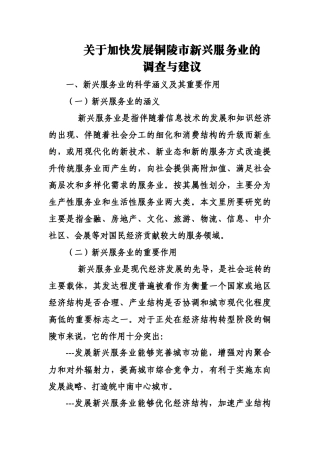 关于加快发展新兴服务业的建议