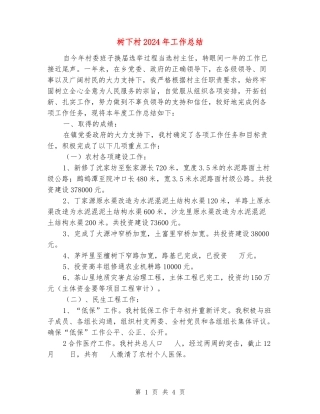 树下村2024年工作总结
