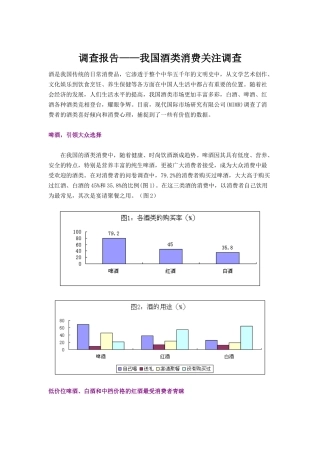 调查报告——我国酒类消费关注调查