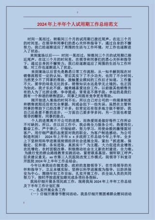 2017年上半年个人试用期工作总结范文