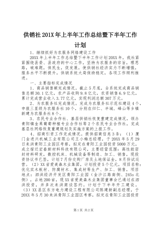 供销社201X年上半年工作总结暨下半年工作计划