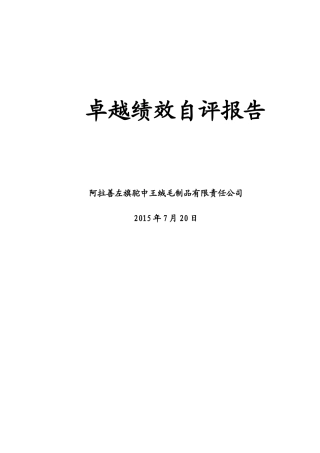 驼中王公司卓越绩效自评报告1