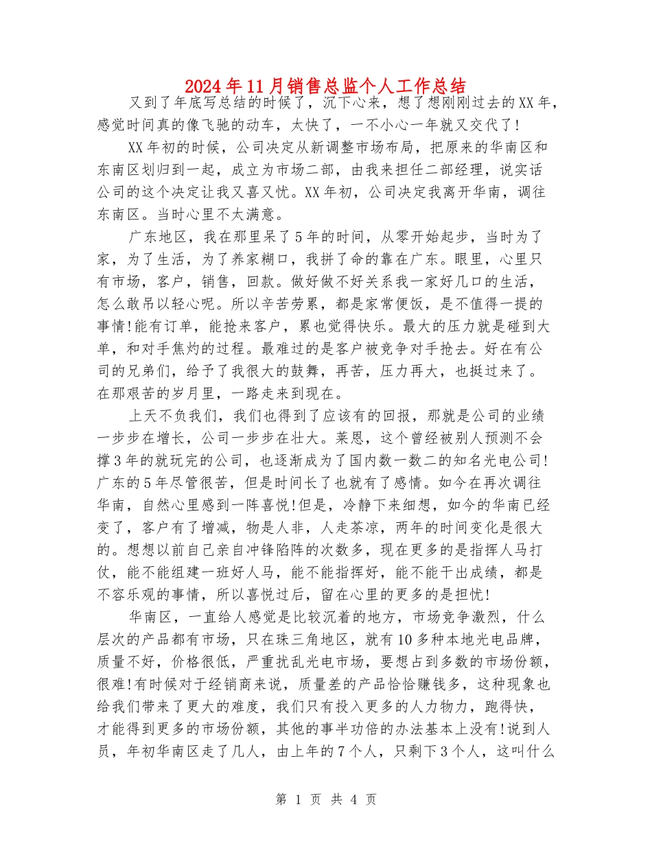 2024年11月销售总监个人工作总结_第1页