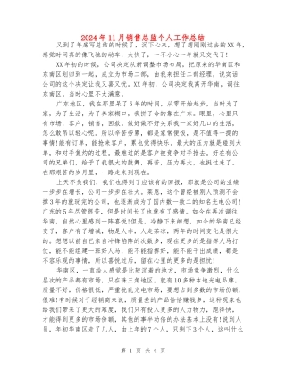 2024年11月销售总监个人工作总结