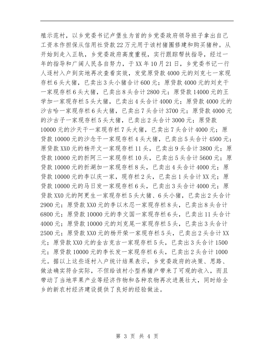 2024年11月乡工作总结及2024年工作计划【新版】_第3页