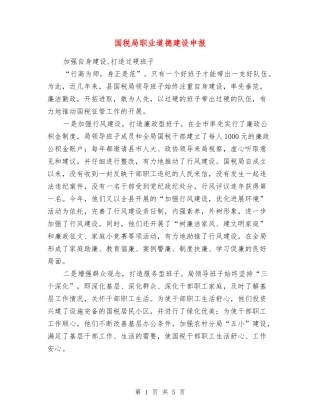 国税局职业道德建设申报