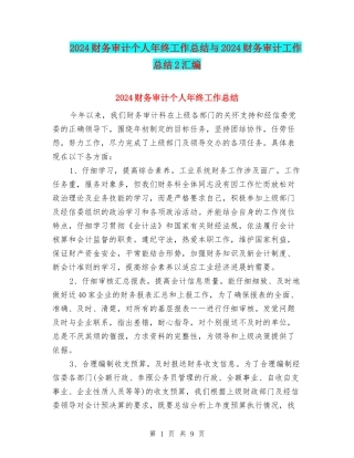 2024财务审计个人年终工作总结与2024财务审计工作总结2汇编
