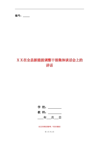 XX在全县新提拔调整干部集体谈话会上的讲话