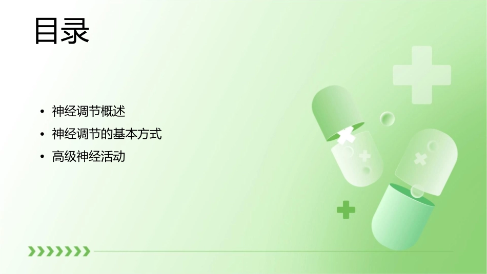 神经调节高三一轮课件_第2页