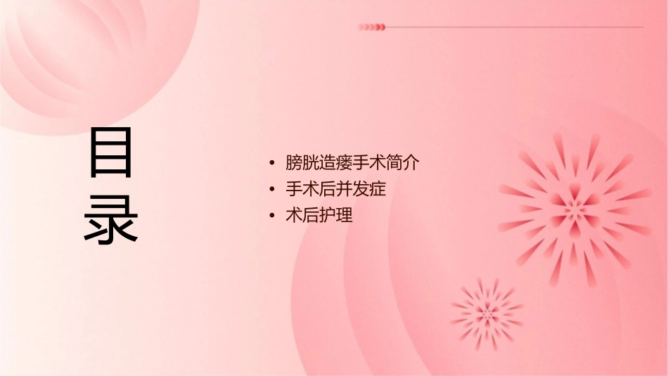 膀胱造瘘手术后并发症与护理课件_第2页