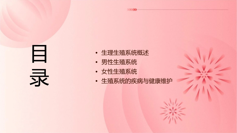 生理生殖系统课件_第2页