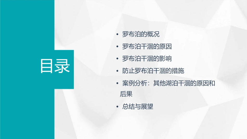 罗布泊就会干涸课件_第2页