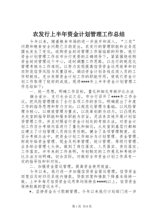 农发行上半年资金计划管理工作总结