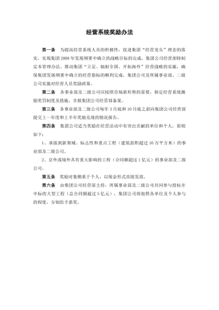 某某公司经营系统奖励办法