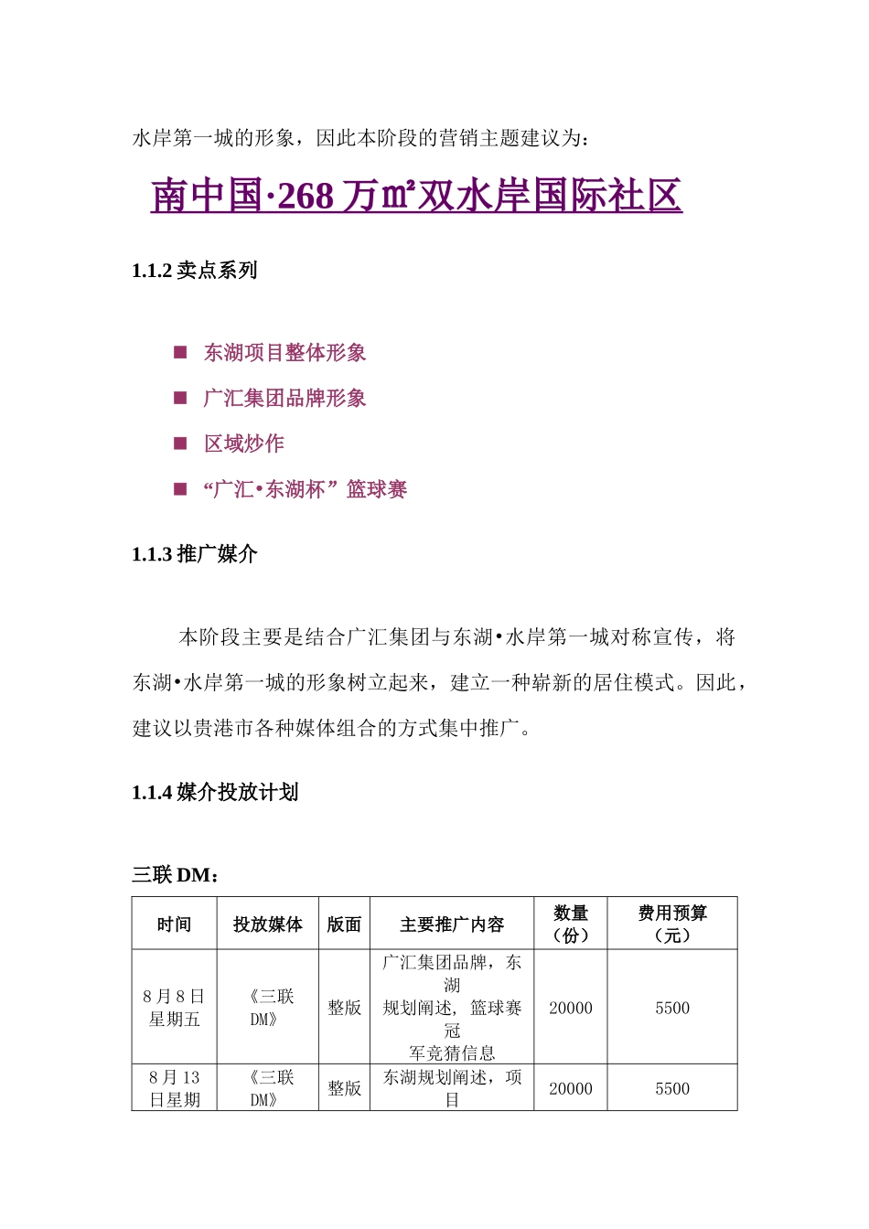 东湖水岸第一城推广媒体投放计划书_第2页