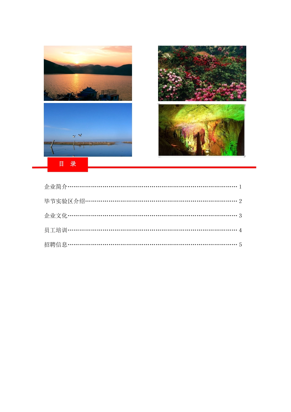 某某供电局年度招聘简介_第2页