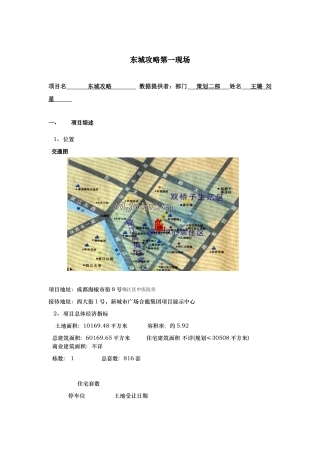 东城攻略销售报告