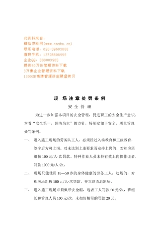现场违章处罚制度