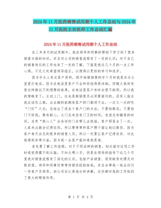 2024年11月医药销售试用期个人工作总结与2024年11月医院主治医师工作总结汇编