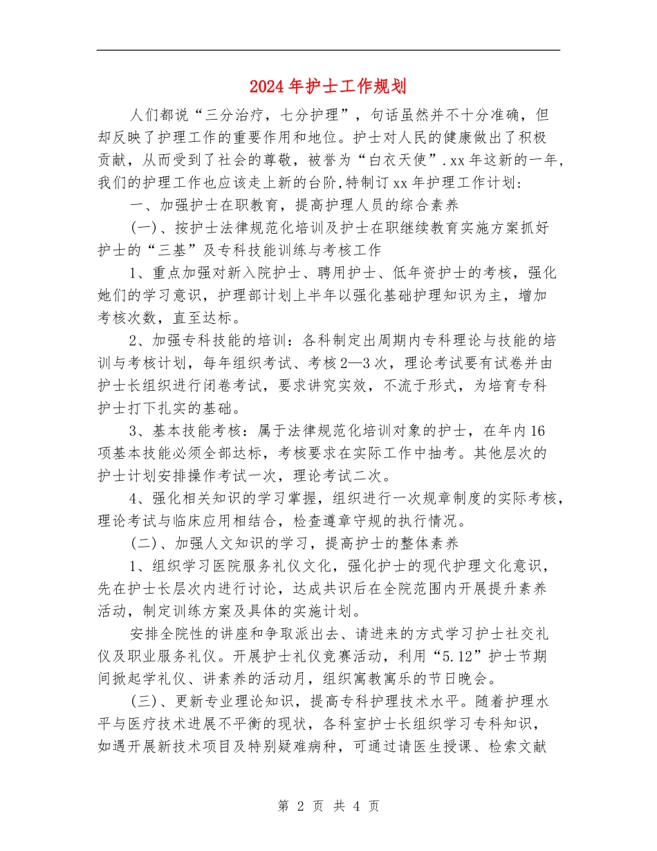 2024年护士工作规划_第2页
