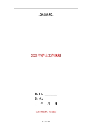 2024年护士工作规划
