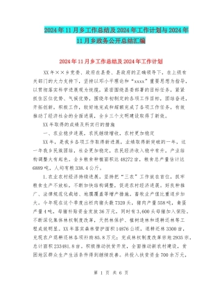2024年11月乡工作总结及2024年工作计划与2024年11月乡政务公开总结汇编