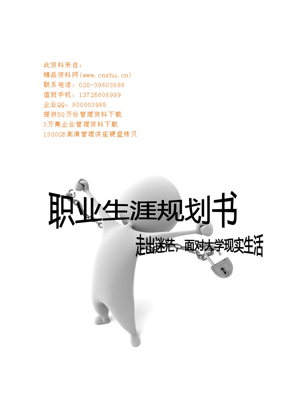 某某学院广告分院职业规划书_第1页