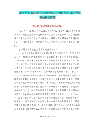 2024年IT试用期工作小结范文与2024年IT部门年终总结报告汇编