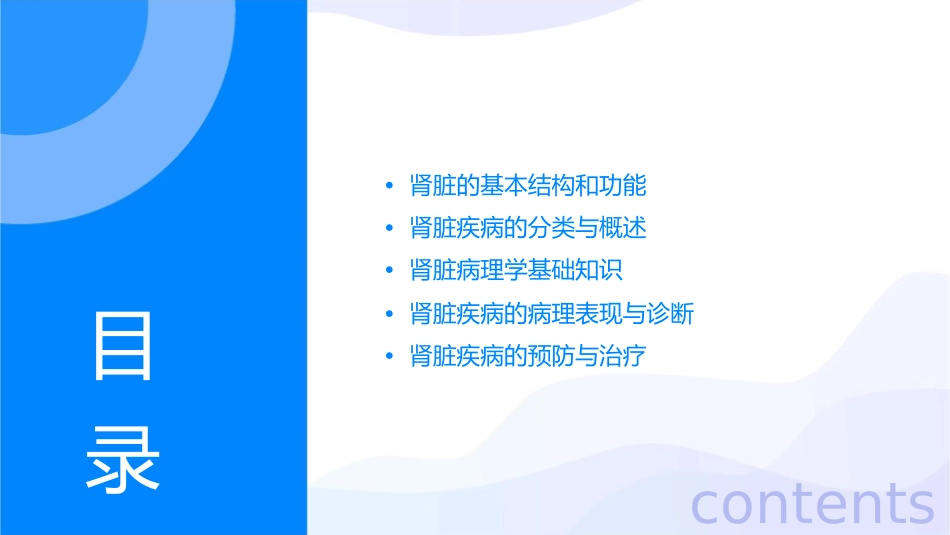 肾科医师需要了解的肾脏病理知识课件_第2页