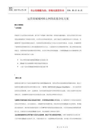 运营商城域网核心网络流量净化方案