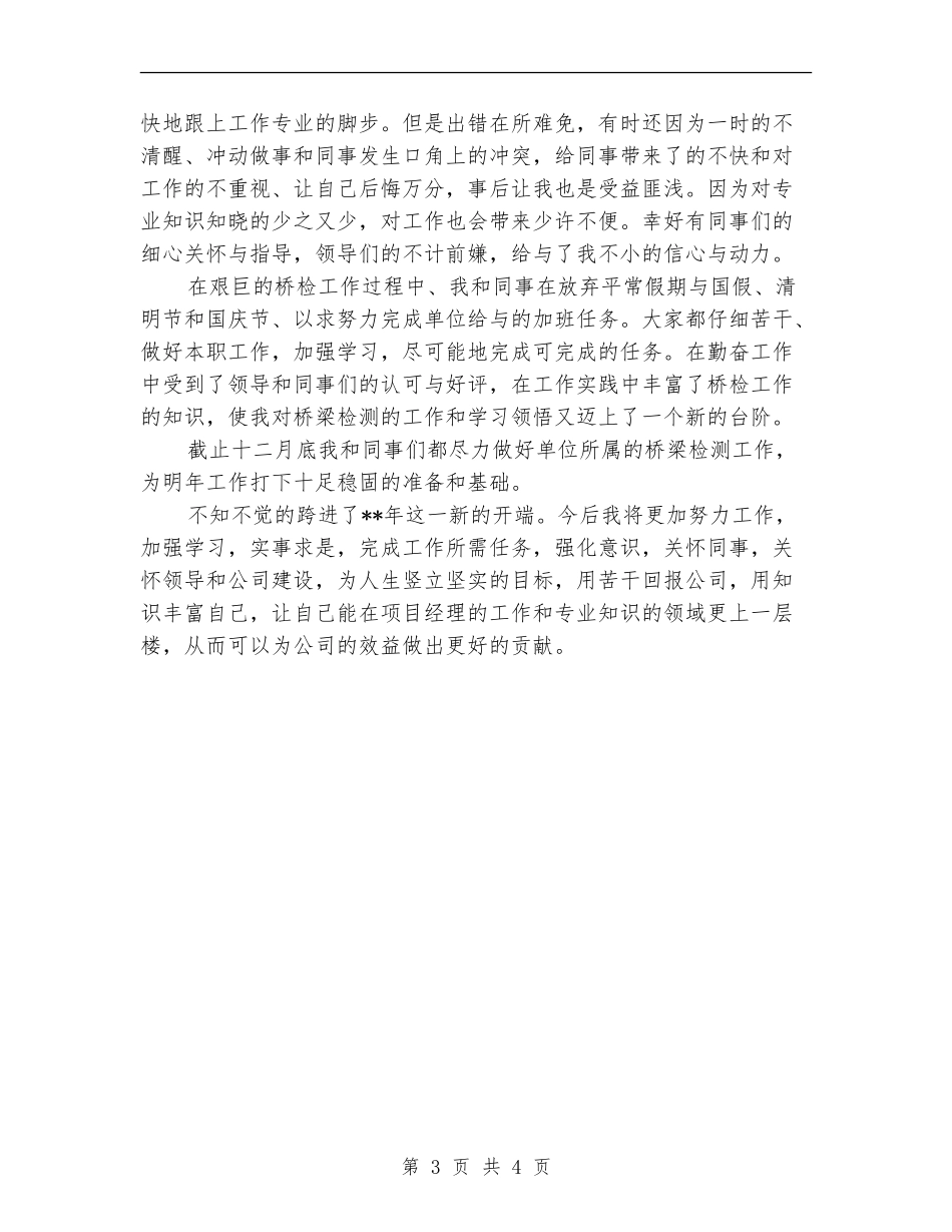 2024项目经理年底总结_第3页