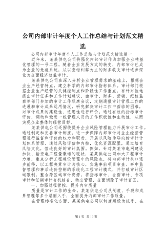 公司内部审计年度个人工作总结与计划范文精选