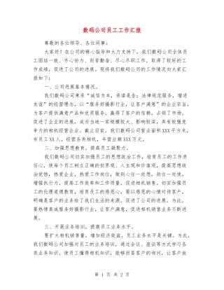 数码公司员工工作汇报