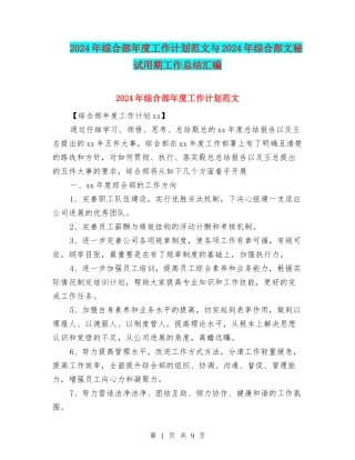 2024年综合部年度工作计划范文与2024年综合部文秘试用期工作总结汇编