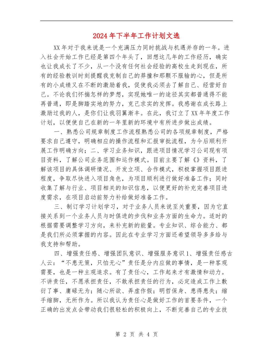 2024年下半年工作计划文选_第2页