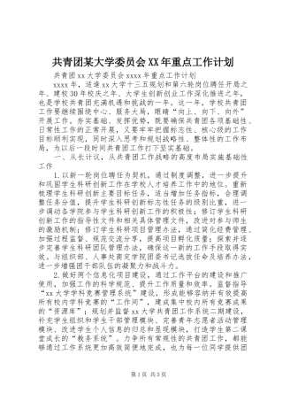 共青团某大学委员会XX年重点工作计划
