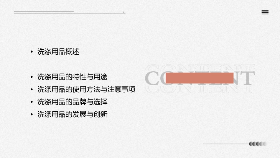 洗涤用品介绍课件_第2页