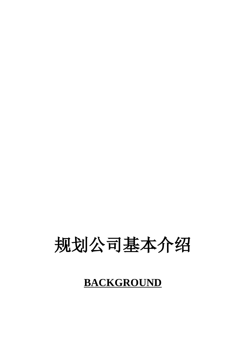 某量贩式购物中心商业规划方案_第2页