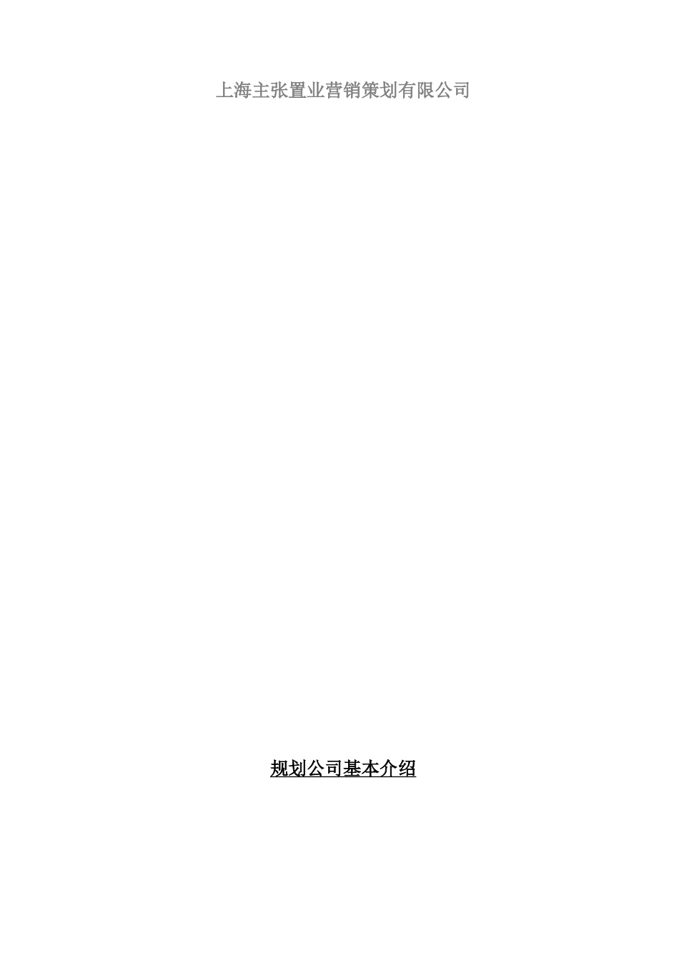 某量贩式购物中心商业规划方案_第3页