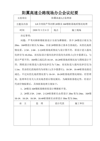 现场办公会议纪要