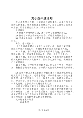党小组年度计划